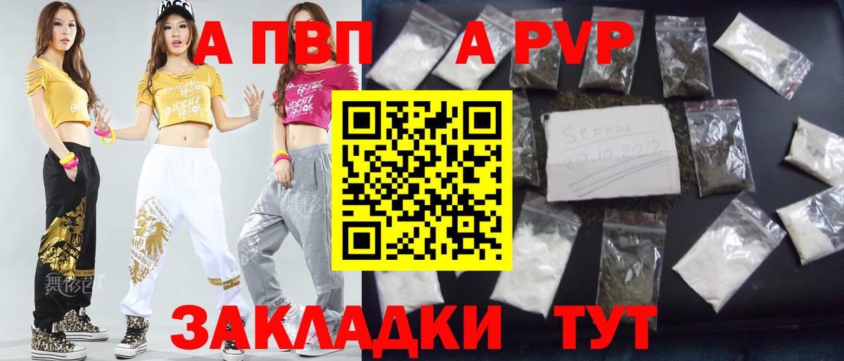 Альфа ПВП СК КРИС Кизилюрт