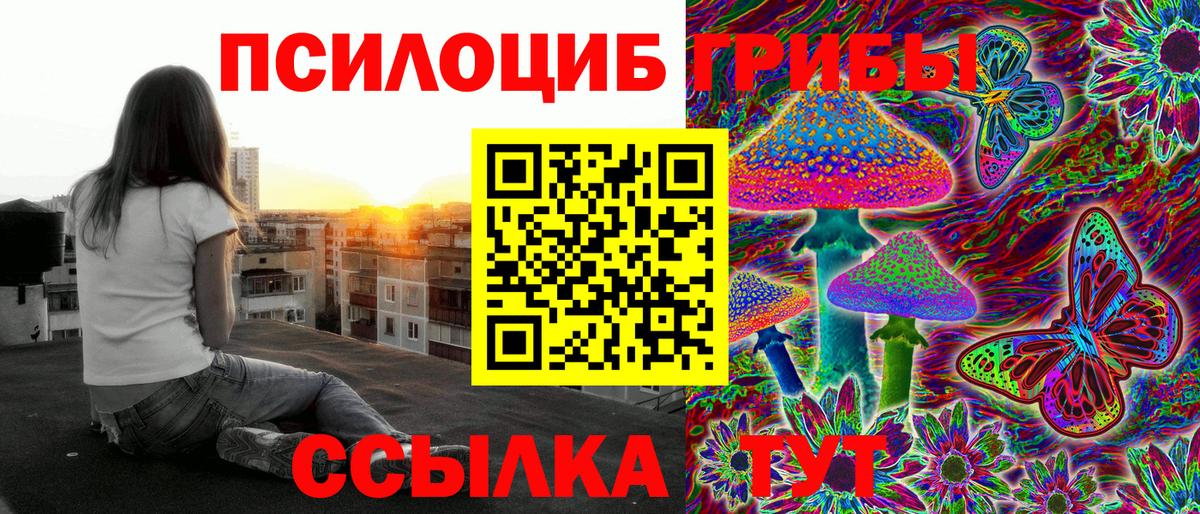 Галлюциногенные грибы мицелий Кизилюрт