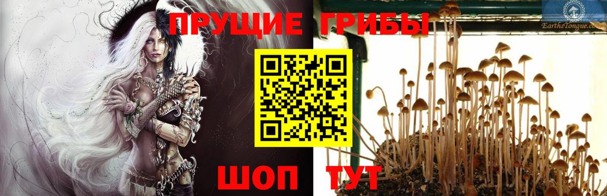 Псилоцибиновые грибы Magic Shrooms  Вход с VPN  Кизилюрт 